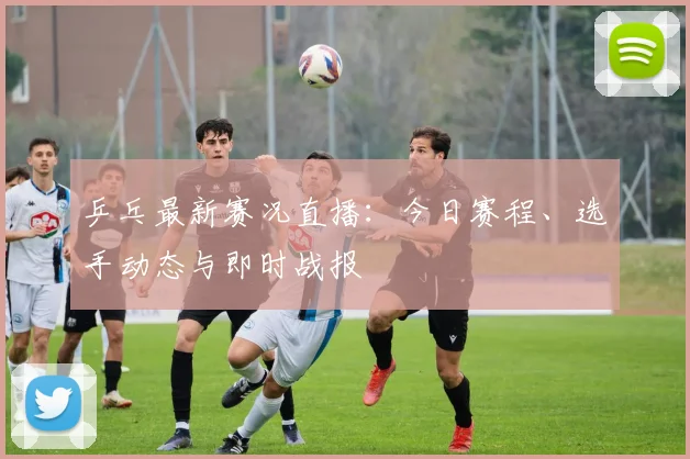 乒乓最新赛况直播：今日赛程、选手动态与即时战报
