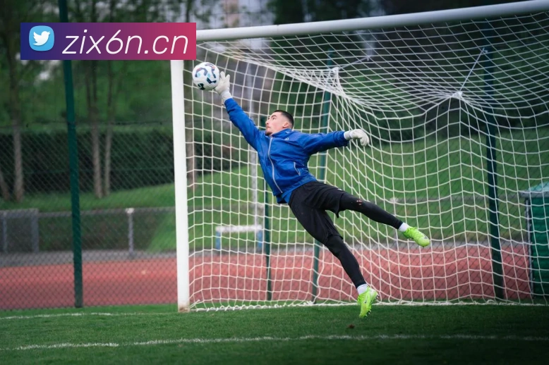 云顶国际官网在线登录平台生态图