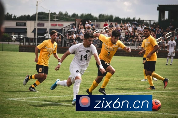 数据防护可视化